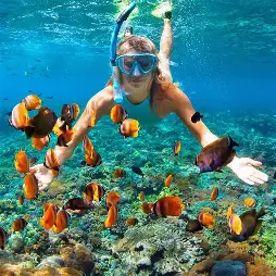 Snorkeling